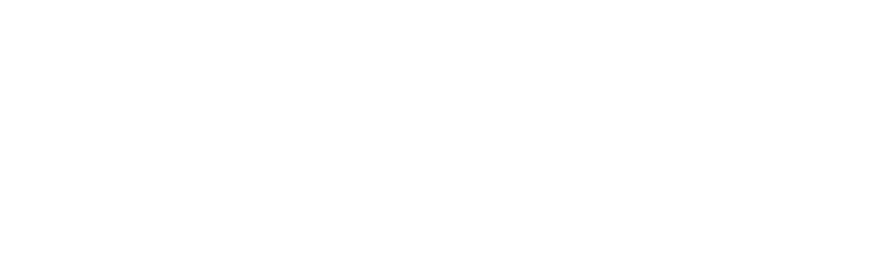 Barn Cat Renovations Logo
